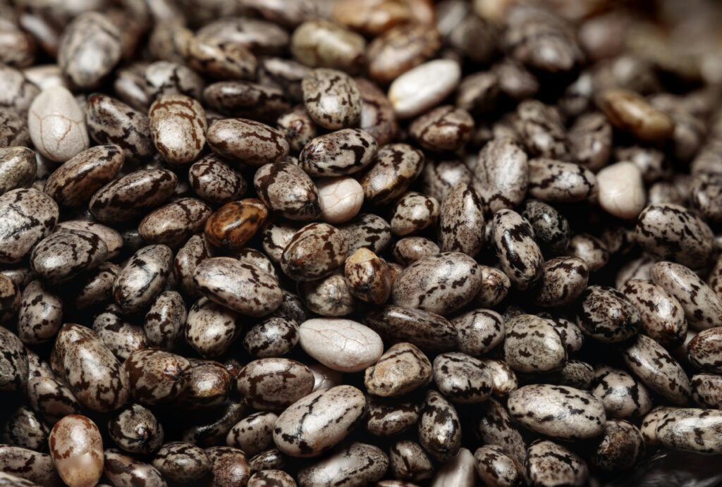 Detailed macro shot of chia seeds, highlighting their texture and nutritional value for a healthy diet.